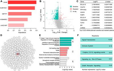 LncRNA model predicts liver cancer drug resistance and validate in vitro experiments